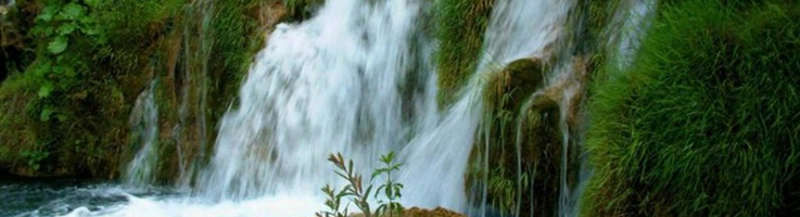 slider image 5